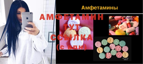 мет Инсар