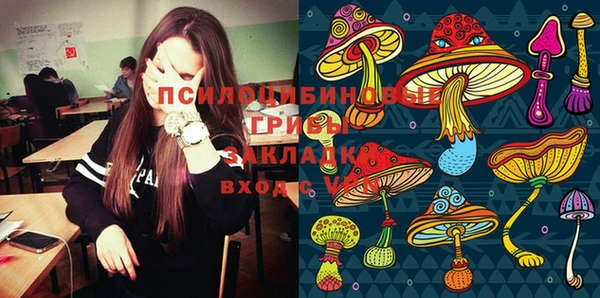 мдпв Зеленодольск
