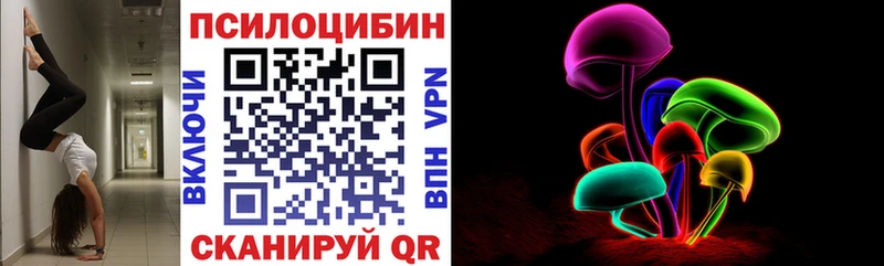 Купить где  Белорецк  Галлюциногенные грибы GOLDEN TEACHER 